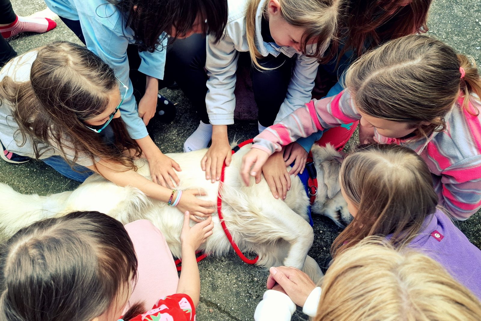 Dny dobrovolnictví 2025 | Koventinka Koventinka | Dny dobrovolnictví 2025