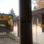 Sedmý týden 2017/2018 | Koventinka Koventinka | Sedmý týden 2017/2018