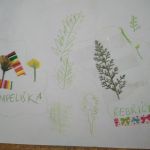 Sedmý týden 2017/2018 | Koventinka Koventinka | Sedmý týden 2017/2018