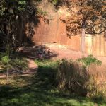 Sedmý týden 2017/2018 | Koventinka Koventinka | Sedmý týden 2017/2018