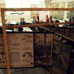 Sedmý týden 2017/2018 | Koventinka Koventinka | Sedmý týden 2017/2018