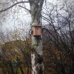 Dvanáctý týden 2017/2018 | Koventinka Koventinka | Dvanáctý týden 2017/2018