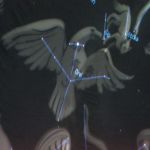 Čtrnáctý týden 2017/2018 | Koventinka Koventinka | Čtrnáctý týden 2017/2018