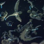 Čtrnáctý týden 2017/2018 | Koventinka Koventinka | Čtrnáctý týden 2017/2018