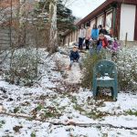 Šestnáctý týden 2017/2018 | Koventinka Koventinka | Šestnáctý týden 2017/2018