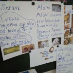 Patnáctý týden 2017/2018 | Koventinka Koventinka | Patnáctý týden 2017/2018