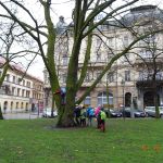 Dvacátý týden 2017/2018 | Koventinka Koventinka | Dvacátý týden 2017/2018