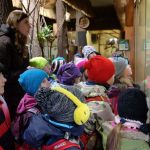 Dvacátý týden 2017/2018 | Koventinka Koventinka | Dvacátý týden 2017/2018