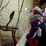 Dvacátý týden 2017/2018 | Koventinka Koventinka | Dvacátý týden 2017/2018