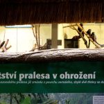 Dvacátý týden 2017/2018 | Koventinka Koventinka | Dvacátý týden 2017/2018