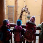 Dvacátý týden 2017/2018 | Koventinka Koventinka | Dvacátý týden 2017/2018