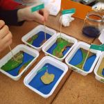 Dvacátý čtvrtý týden 2017/2018 | Koventinka Koventinka | Dvacátý čtvrtý týden 2017/2018