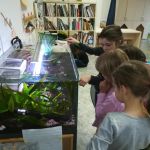 Dvacátý osmý týden 2017/2018 | Koventinka Koventinka | Dvacátý osmý týden 2017/2018