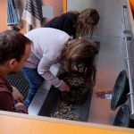 Dvacátý sedmý týden 2017/2018 | Koventinka Koventinka | Dvacátý sedmý týden 2017/2018