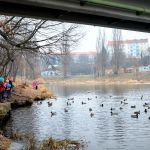 Dvacátý sedmý týden 2017/2018 | Koventinka Koventinka | Dvacátý sedmý týden 2017/2018