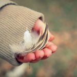 Dvacátý sedmý týden 2017/2018 | Koventinka Koventinka | Dvacátý sedmý týden 2017/2018