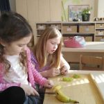 Dvacátý devátý týden 2017/2018 | Koventinka Koventinka | Dvacátý devátý týden 2017/2018