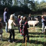 Třetí týden 2018/19 | Koventinka Koventinka | Třetí týden 2018/19