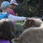 Třetí týden 2018/19 | Koventinka Koventinka | Třetí týden 2018/19