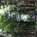 Třetí týden 2018/19 | Koventinka Koventinka | Třetí týden 2018/19