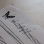 Šestý týden 2018/19 | Koventinka Koventinka | Šestý týden 2018/19