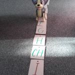 Devátý týden 2018/19 | Koventinka Koventinka | Devátý týden 2018/19