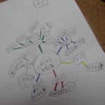 Jedenáctý týden 2018/19 | Koventinka Koventinka | Jedenáctý týden 2018/19