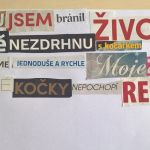 Jedenáctý týden 2018/19 | Koventinka Koventinka | Jedenáctý týden 2018/19