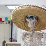 Třináctý týden 2018/19 | Koventinka Koventinka | Třináctý týden 2018/19