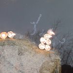 Sedmnáctý týden 2018/19 | Koventinka Koventinka | Sedmnáctý týden 2018/19