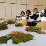 Říjen 2022/2023 | Koventinka Koventinka | Říjen 2022/2023